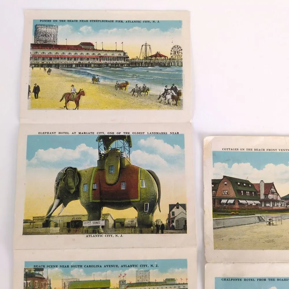Atlantic City New Jersey Fold-Out Postcards Early 1900s‎ Hotel Elephant Bathing+